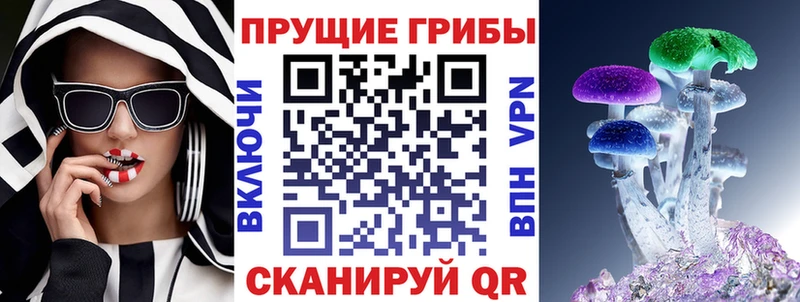 Псилоцибиновые грибы Psilocybe  Волжский 