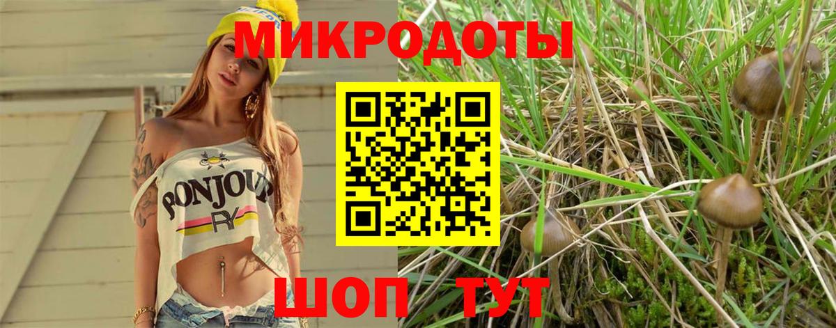 цена наркотик  Псилоцибиновые грибы GOLDEN TEACHER  Вход с VPN  Волжский  Галлюциногенные грибы мухоморы 