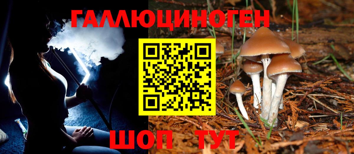 Галлюциногенные грибы мицелий Волжский